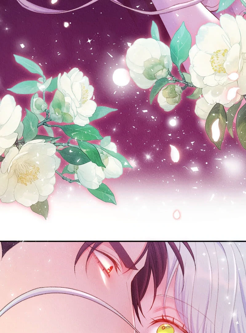The Abandoned Lady Became the Imperial Family's Beloved Caretaker Chapter 19 - page 43
