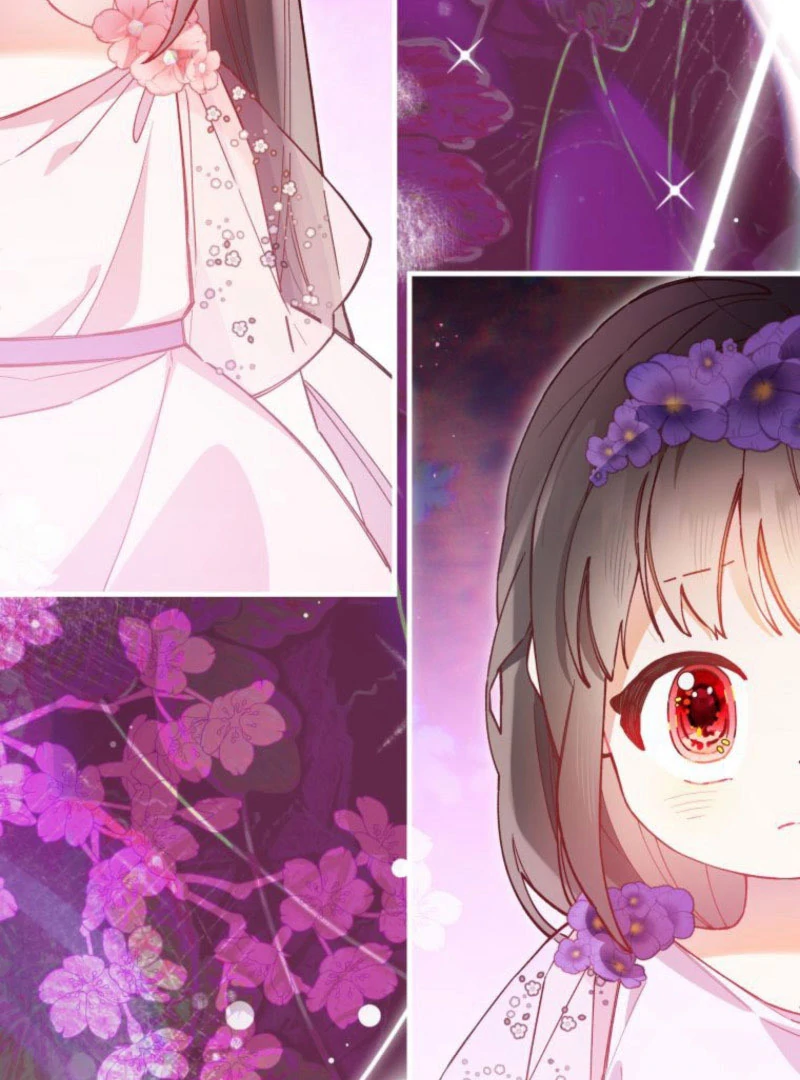 I Will Not be Overshadowed by my Twin Sister in This Life Chapter 22 - page 62