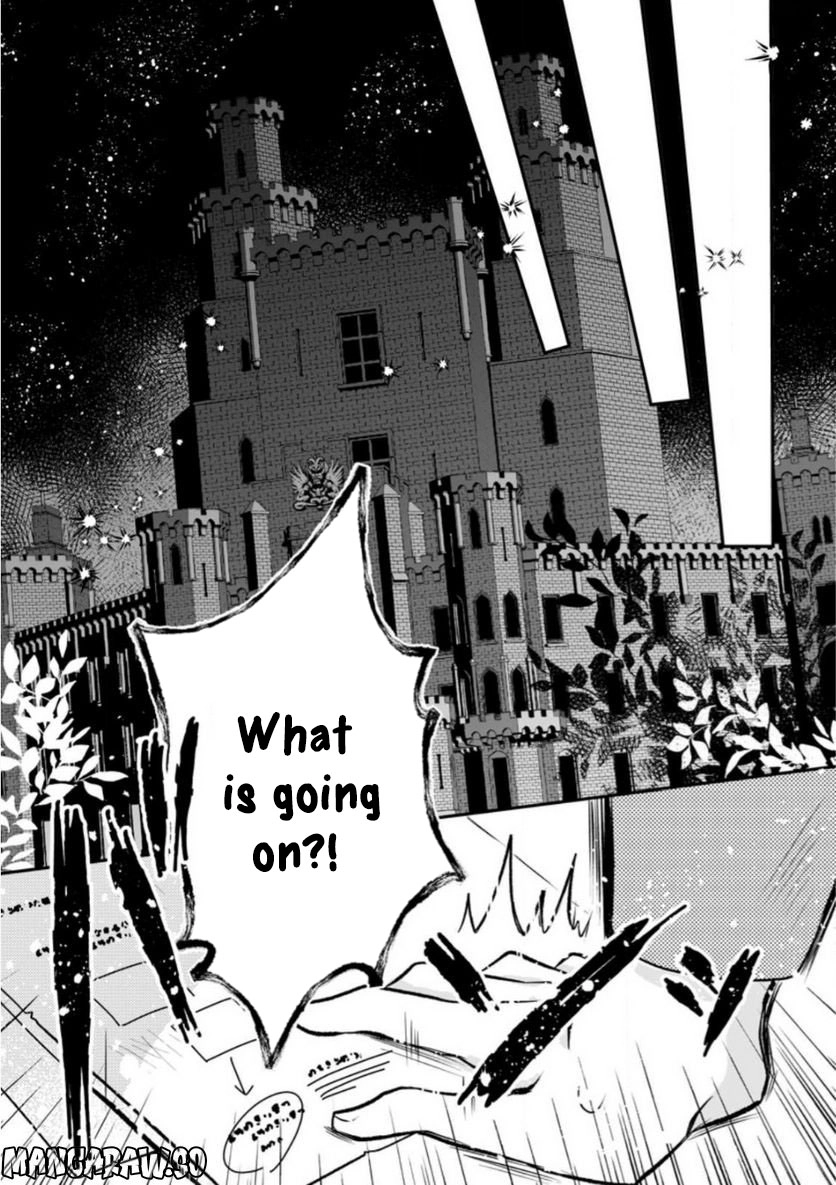 The Banished Villainess Enjoys Her Judgment Chapter 11 - page 29