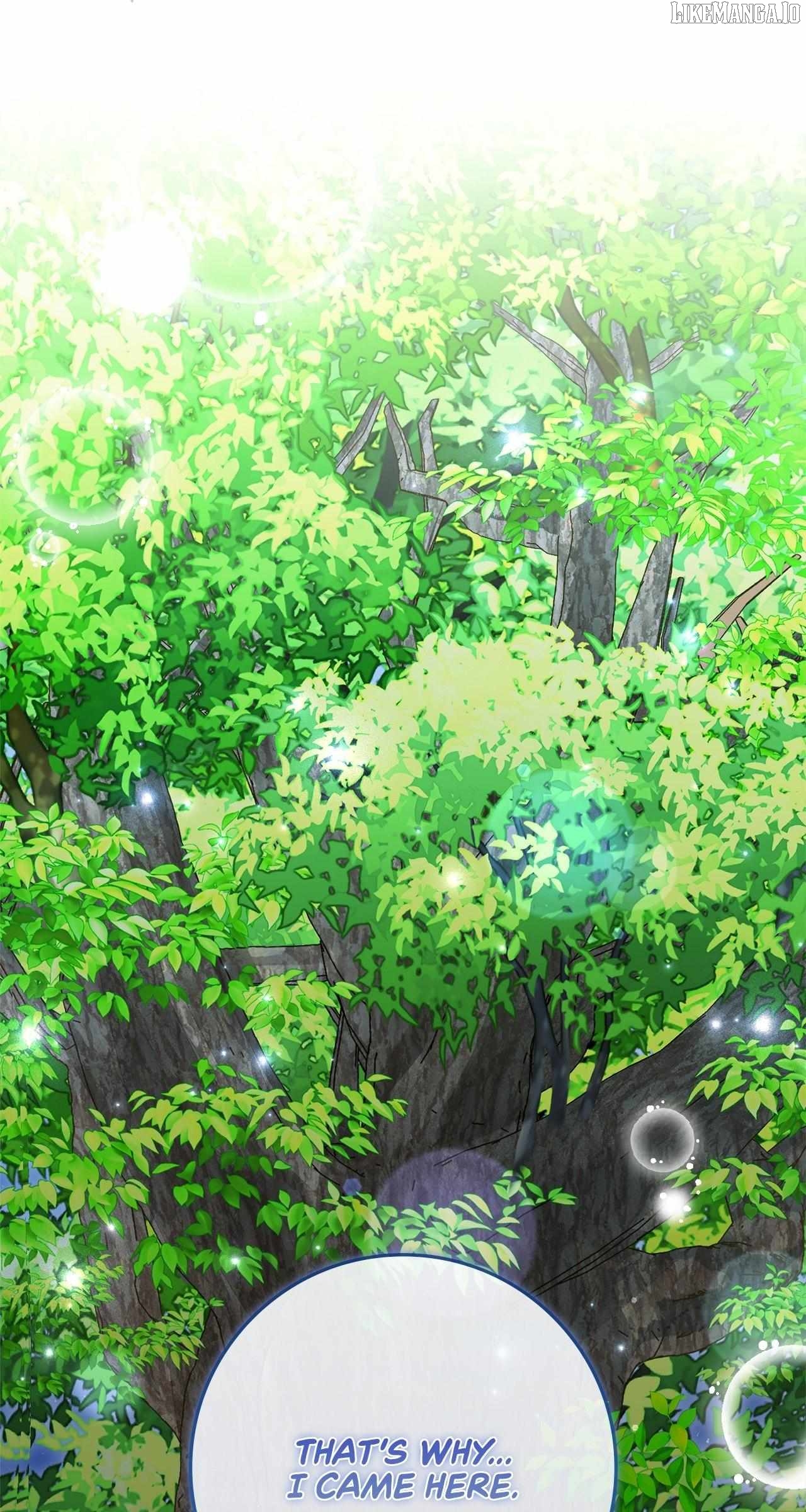 The Beloved Gardener of the World Tree Chapter 14 - page 94