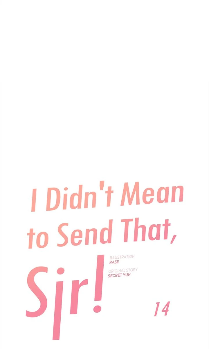 I Didn't Mean to Send That, Sir! Chapter 14 - page 3