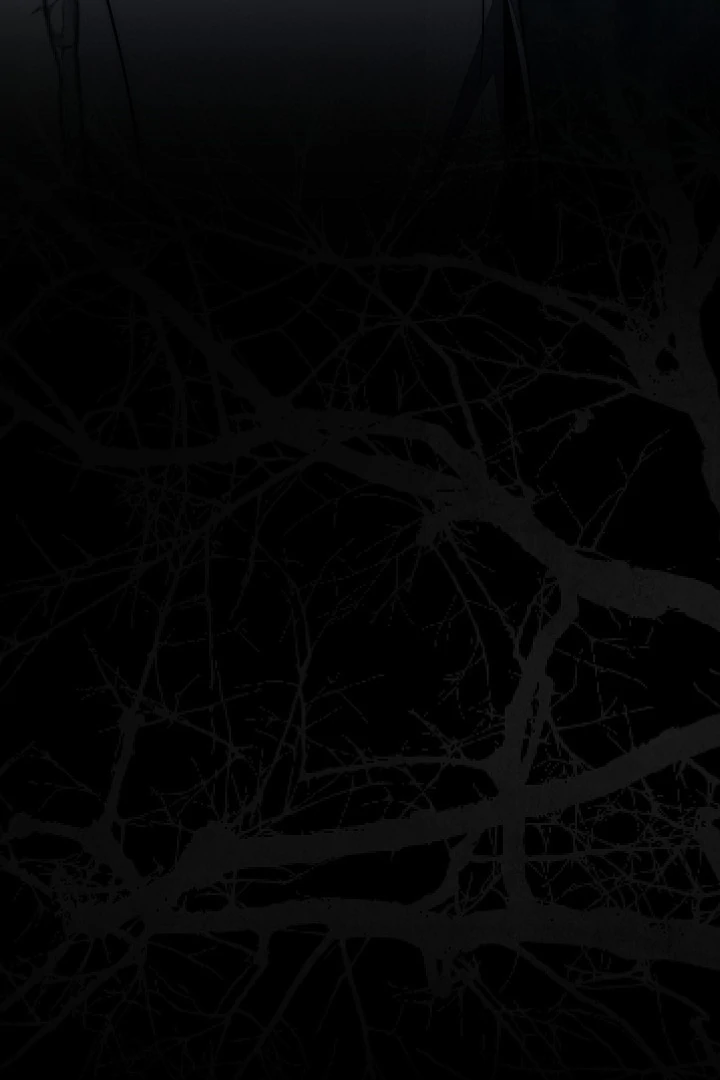Swan’s Grave Chapter 12 - page 133