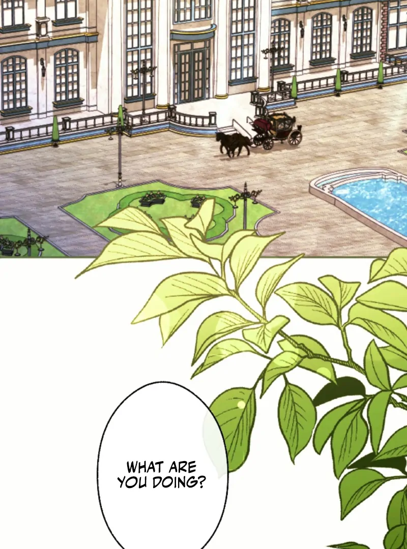 This Time, I Will Seduce My Cold-Hearted Duke Husband Chapter 3 - page 32