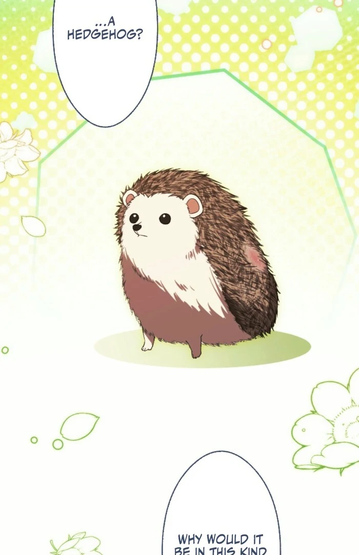 This Time, I Will Seduce My Cold-Hearted Duke Husband Chapter 13 - page 55