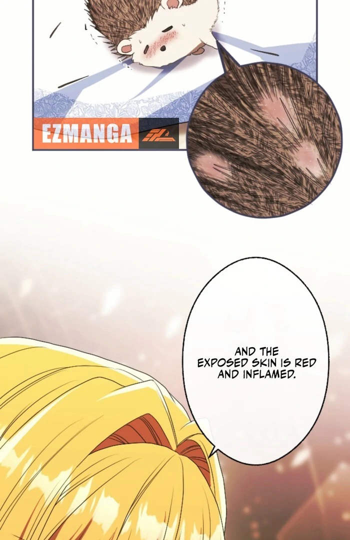 This Time, I Will Seduce My Cold-Hearted Duke Husband Chapter 15 - page 25