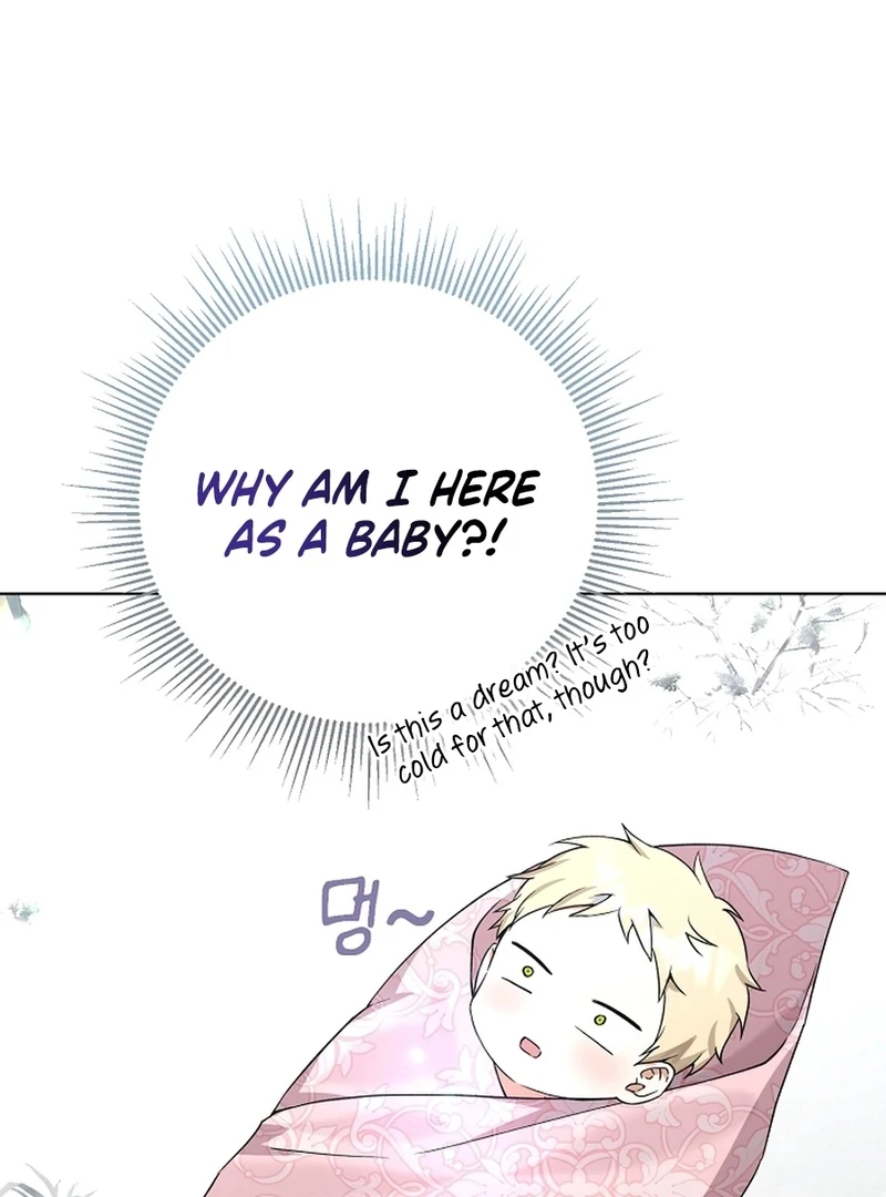 I Opened an Illegal Veterinary Clinic in Another World Chapter 2 - page 11