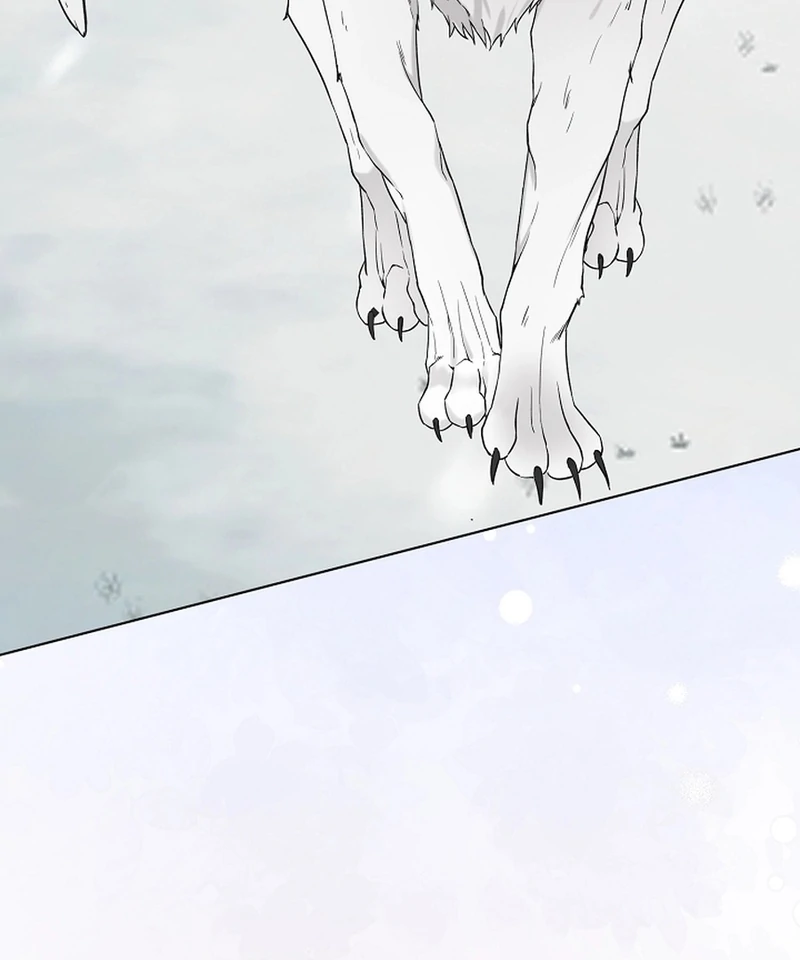 I Opened an Illegal Veterinary Clinic in Another World Chapter 2 - page 18