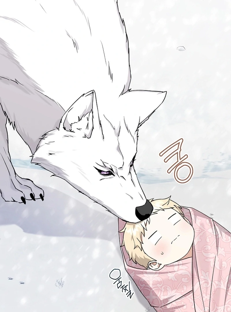 I Opened an Illegal Veterinary Clinic in Another World Chapter 2 - page 23