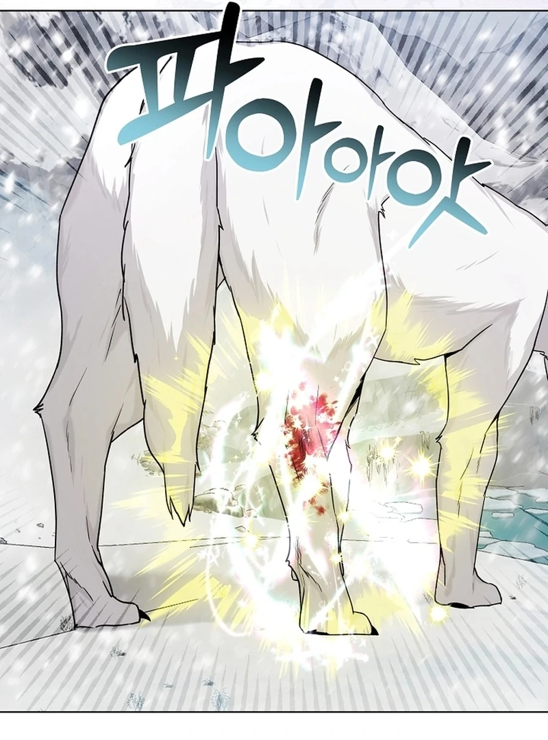 I Opened an Illegal Veterinary Clinic in Another World Chapter 2 - page 28