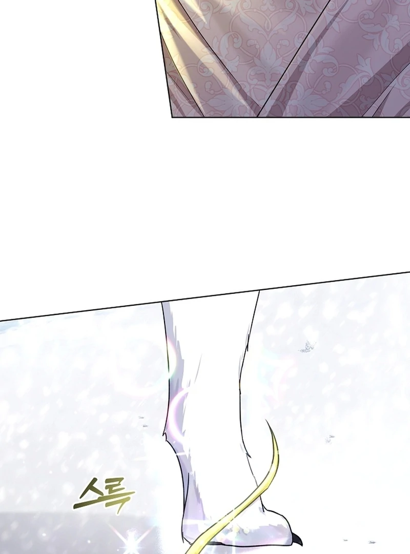 I Opened an Illegal Veterinary Clinic in Another World Chapter 2 - page 30