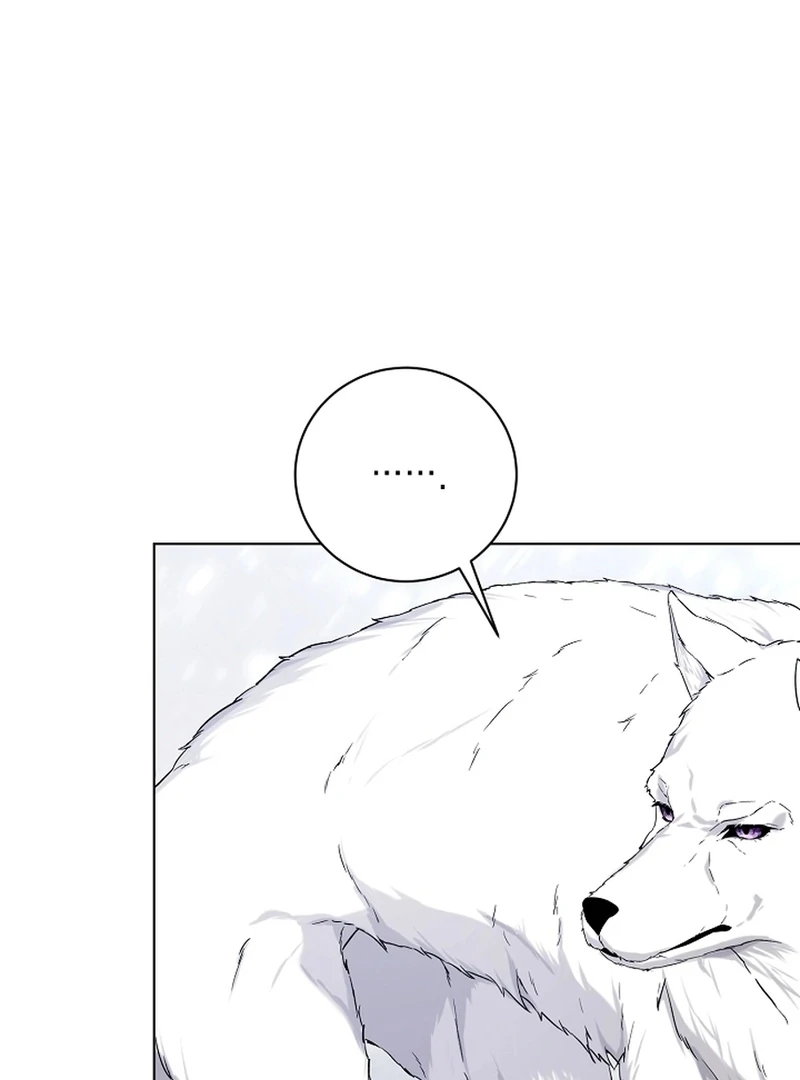 I Opened an Illegal Veterinary Clinic in Another World Chapter 2 - page 33