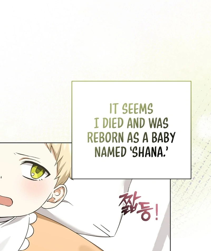 I Opened an Illegal Veterinary Clinic in Another World Chapter 2 - page 80