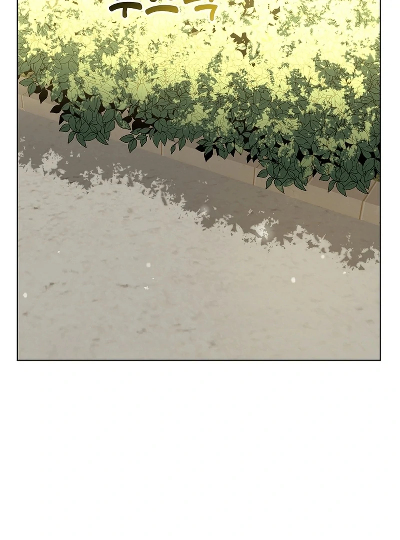 I Opened an Illegal Veterinary Clinic in Another World Chapter 4 - page 5