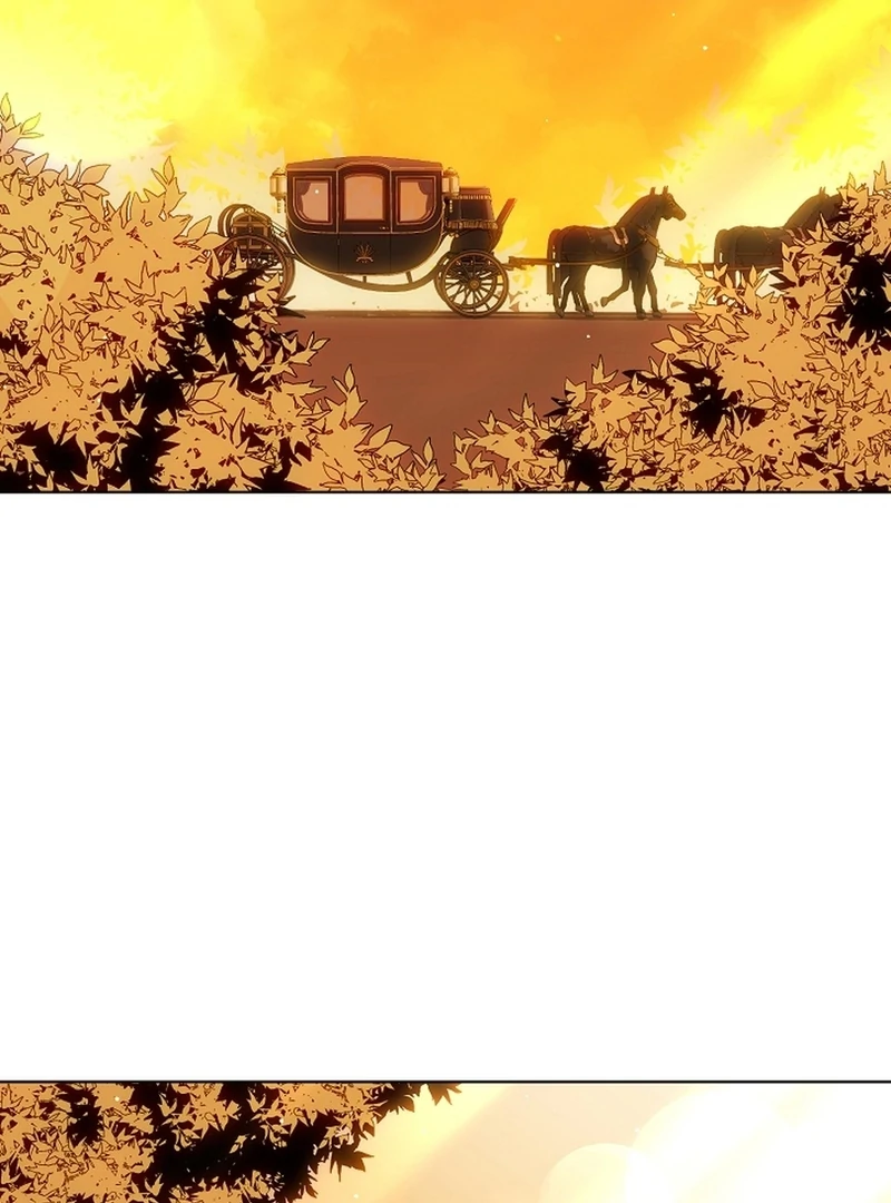 I Opened an Illegal Veterinary Clinic in Another World Chapter 6 - page 48