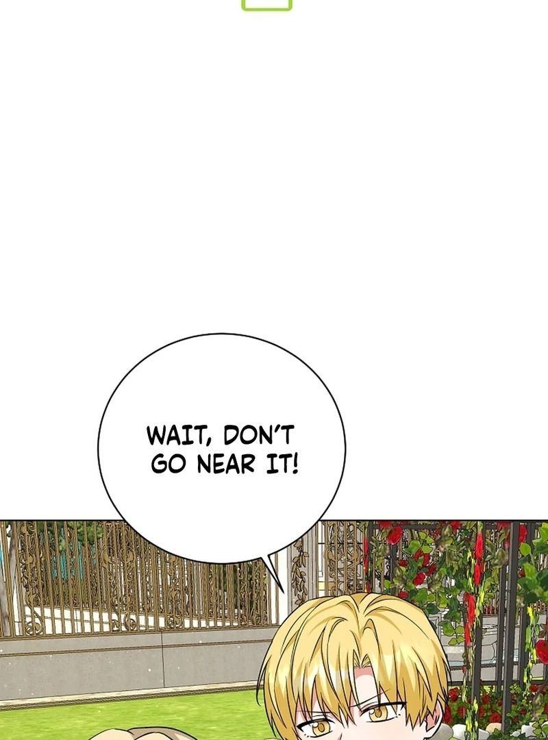 I Opened an Illegal Veterinary Clinic in Another World Chapter 7 - page 41