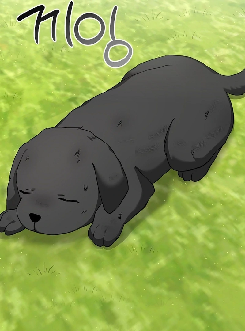 I Opened an Illegal Veterinary Clinic in Another World Chapter 7 - page 57