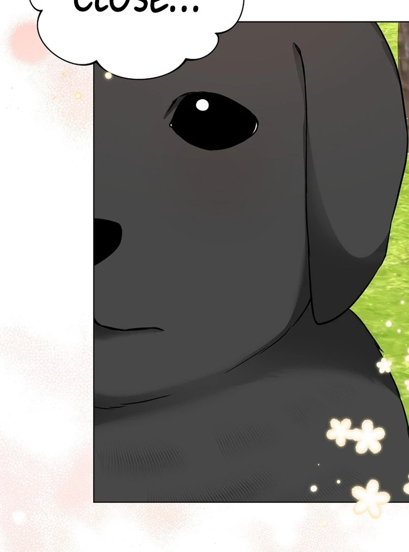 I Opened an Illegal Veterinary Clinic in Another World Chapter 7 - page 81