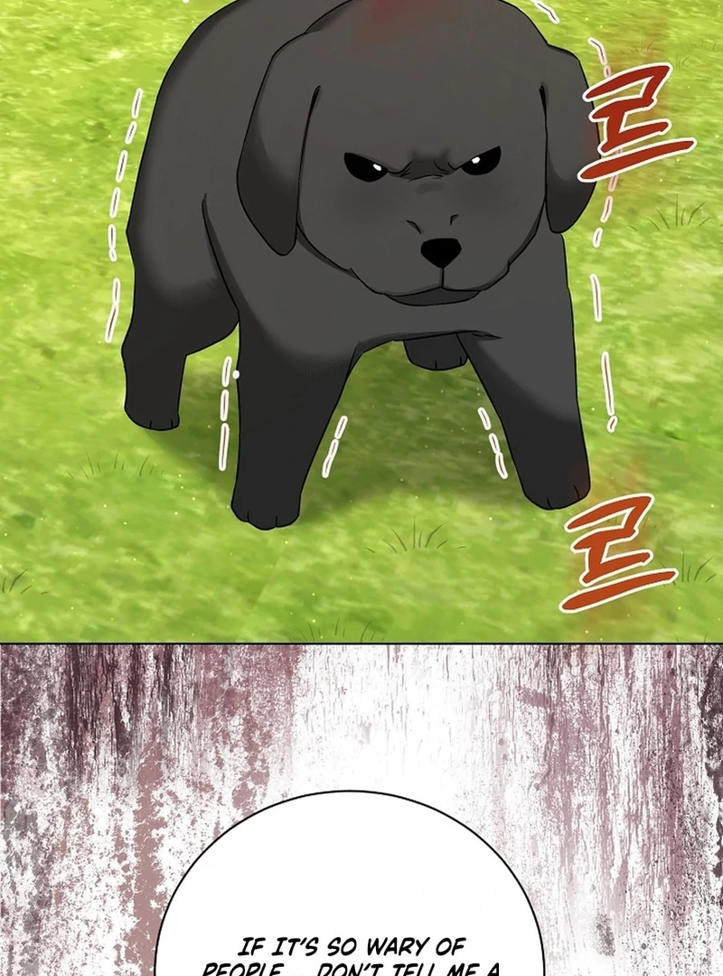 I Opened an Illegal Veterinary Clinic in Another World Chapter 7 - page 89