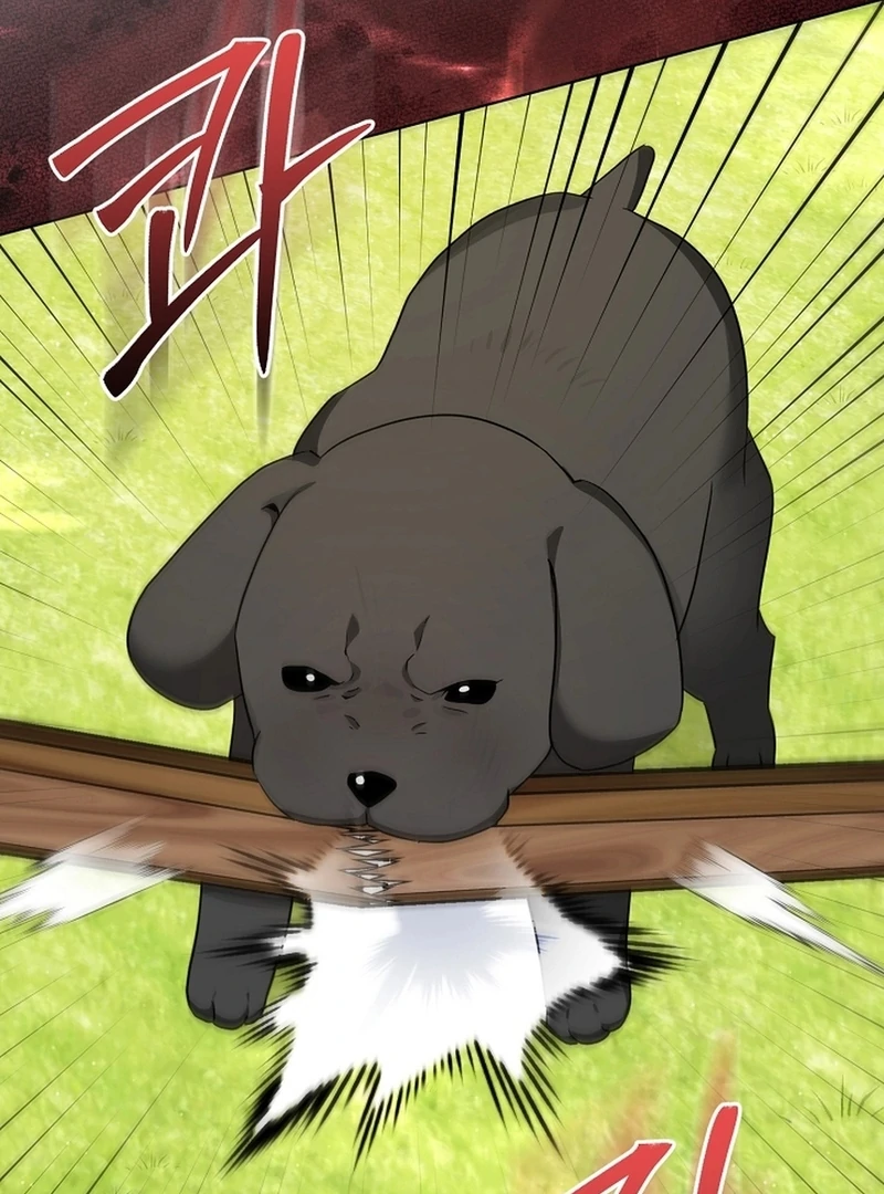 I Opened an Illegal Veterinary Clinic in Another World Chapter 10 - page 100