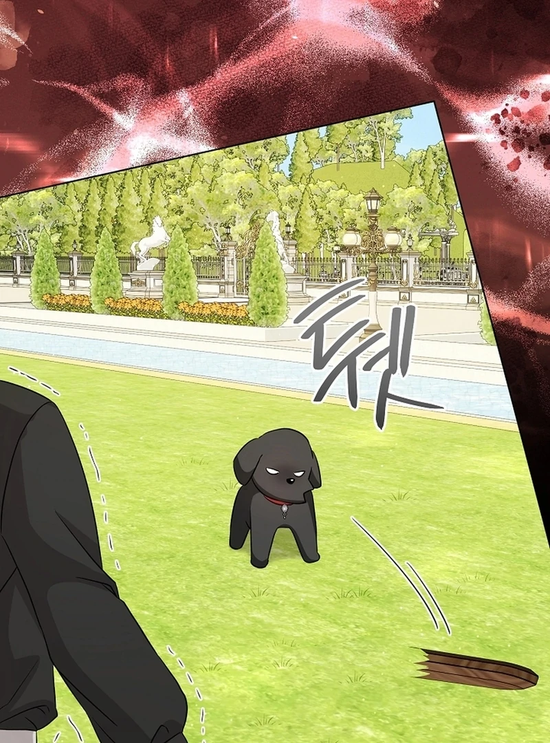 I Opened an Illegal Veterinary Clinic in Another World Chapter 10 - page 103