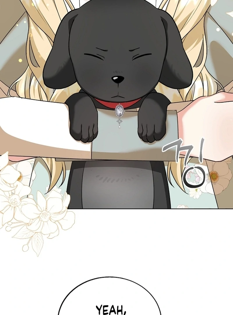 I Opened an Illegal Veterinary Clinic in Another World Chapter 10 - page 17