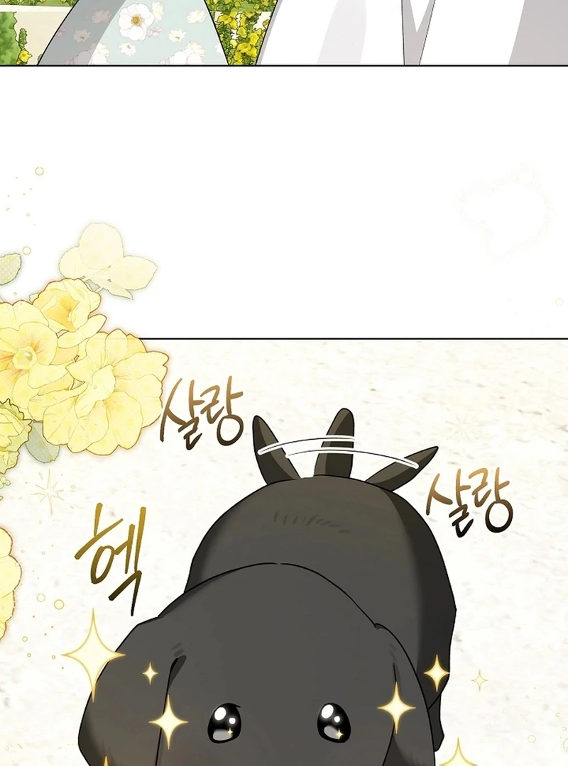 I Opened an Illegal Veterinary Clinic in Another World Chapter 10 - page 54