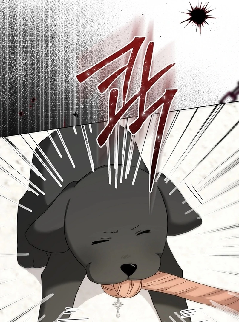 I Opened an Illegal Veterinary Clinic in Another World Chapter 10 - page 58