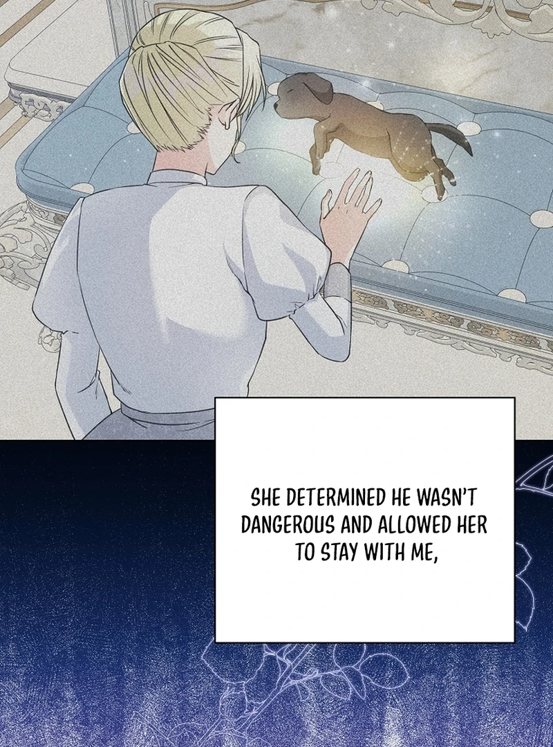 I Opened an Illegal Veterinary Clinic in Another World Chapter 8 - page 105