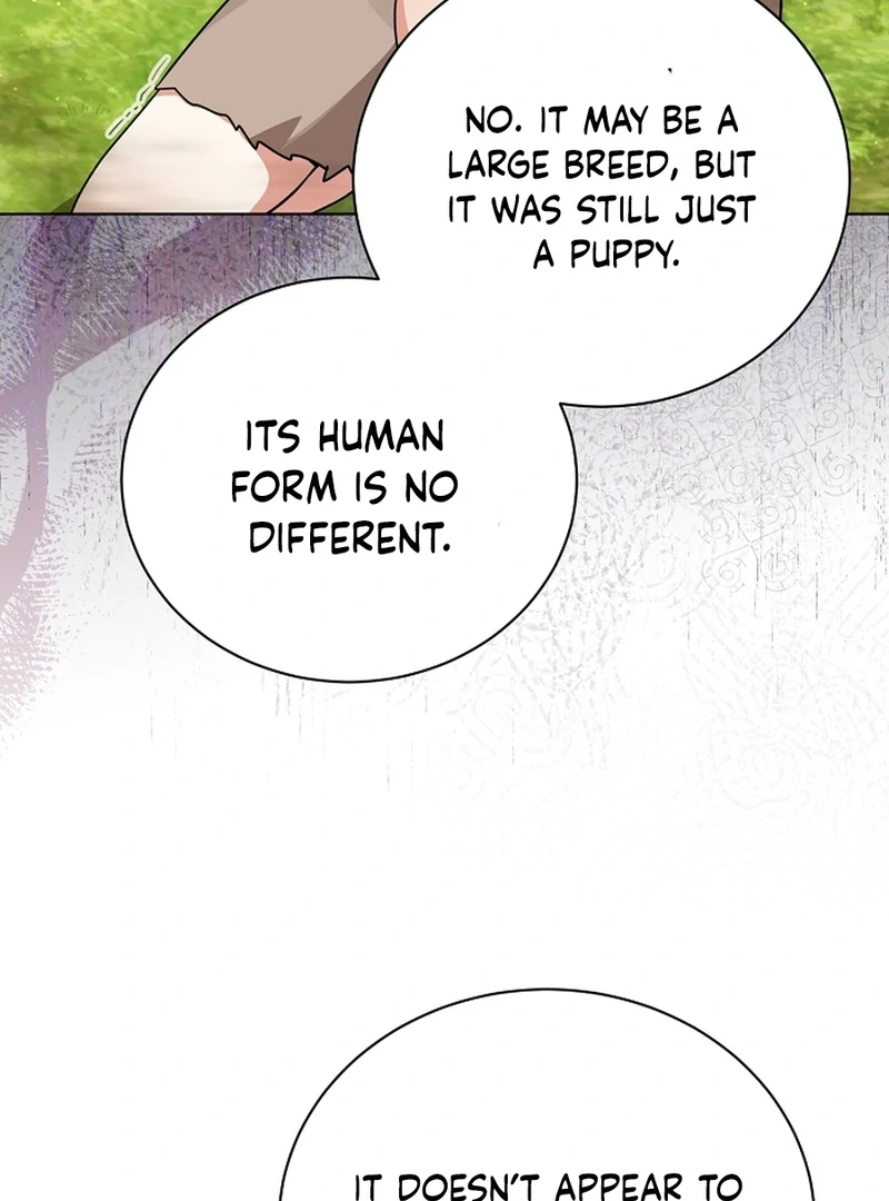 I Opened an Illegal Veterinary Clinic in Another World Chapter 8 - page 15