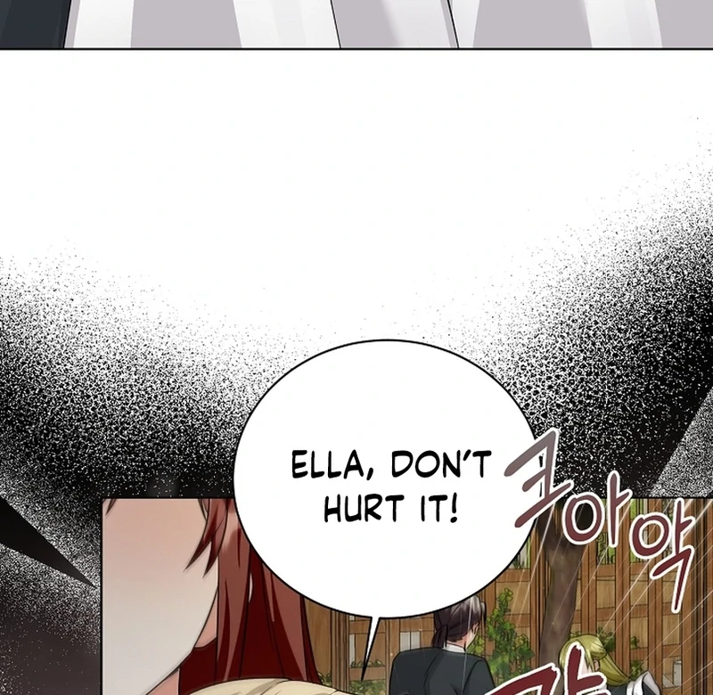 I Opened an Illegal Veterinary Clinic in Another World Chapter 8 - page 17