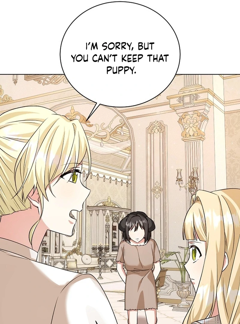 I Opened an Illegal Veterinary Clinic in Another World Chapter 8 - page 45