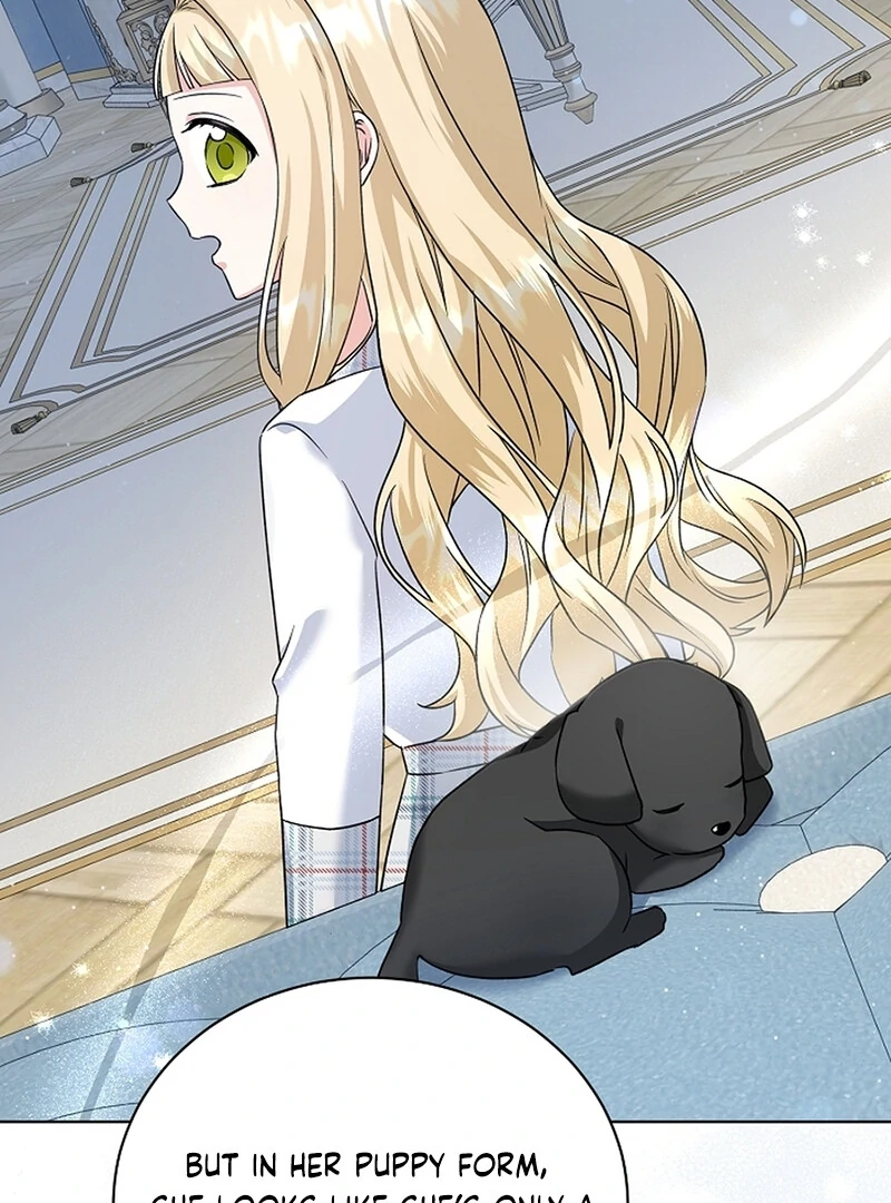 I Opened an Illegal Veterinary Clinic in Another World Chapter 9 - page 14