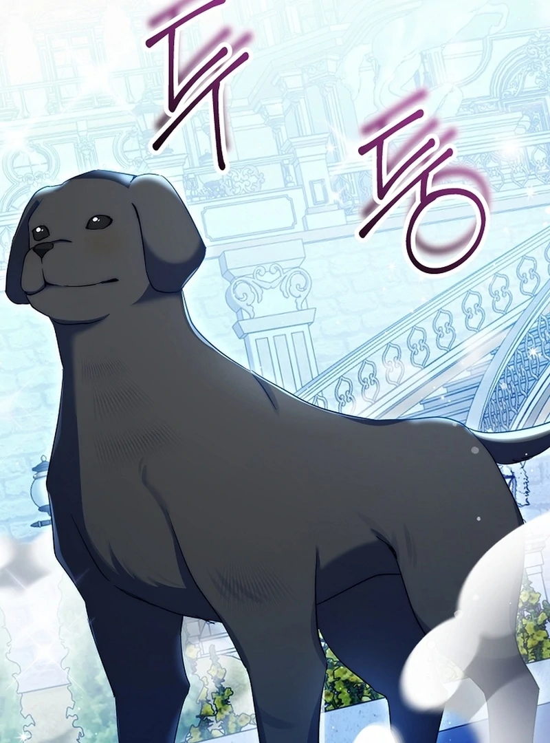 I Opened an Illegal Veterinary Clinic in Another World Chapter 15 - page 116