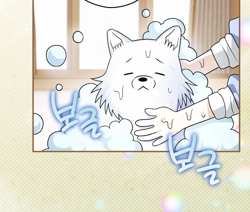 I Opened an Illegal Veterinary Clinic in Another World Chapter 18 - page 128