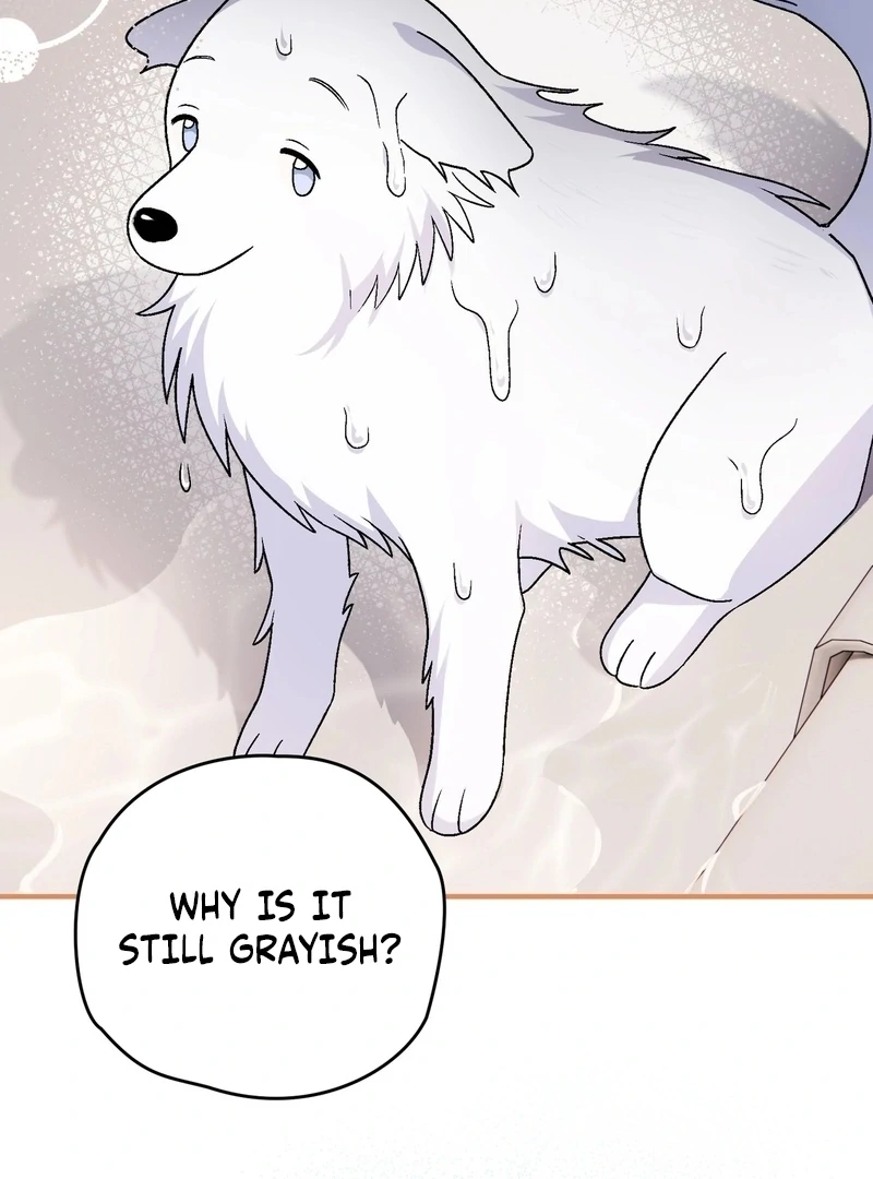 I Opened an Illegal Veterinary Clinic in Another World Chapter 18 - page 132