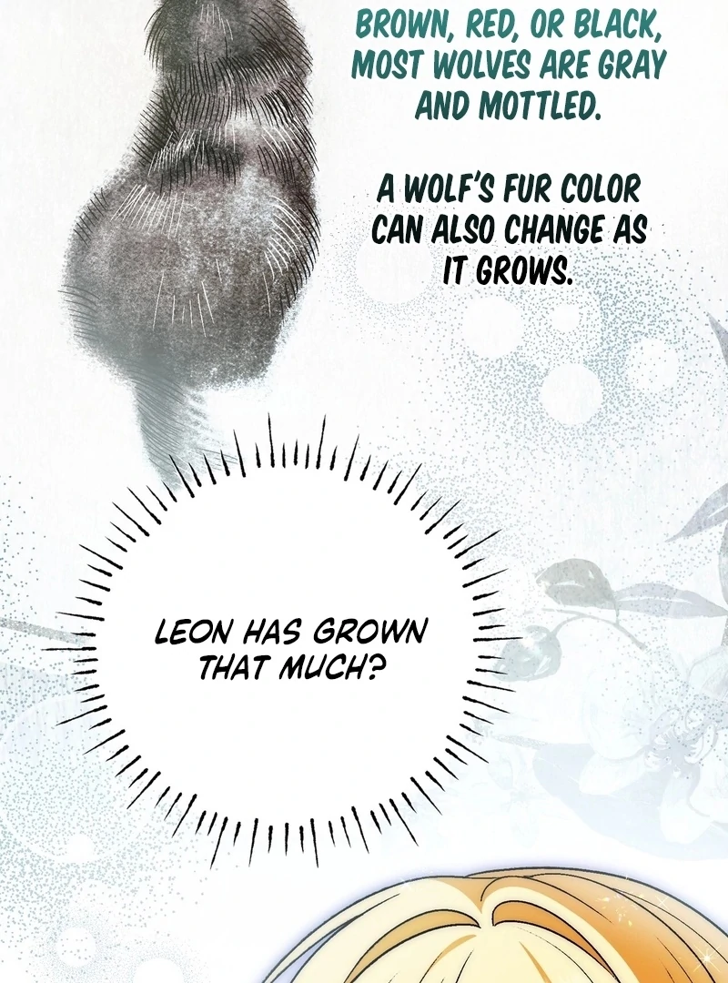 I Opened an Illegal Veterinary Clinic in Another World Chapter 18 - page 134