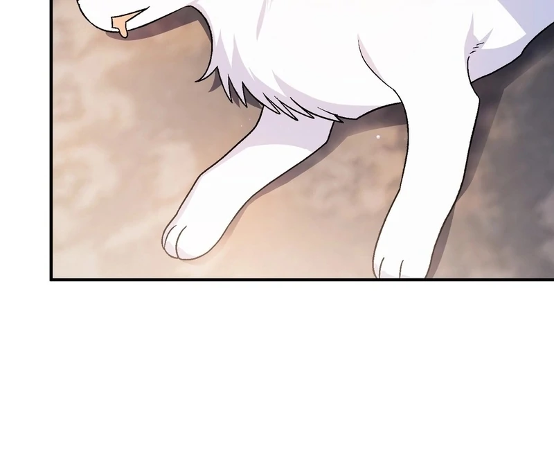 I Opened an Illegal Veterinary Clinic in Another World Chapter 18 - page 138