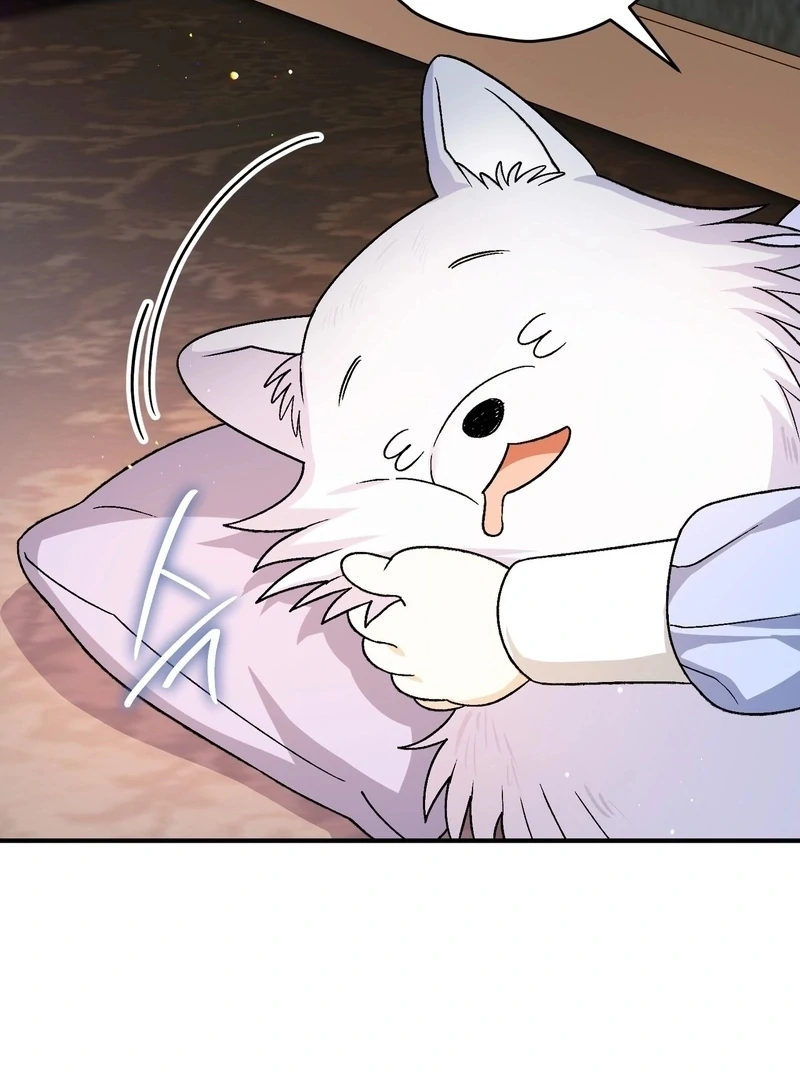 I Opened an Illegal Veterinary Clinic in Another World Chapter 18 - page 141