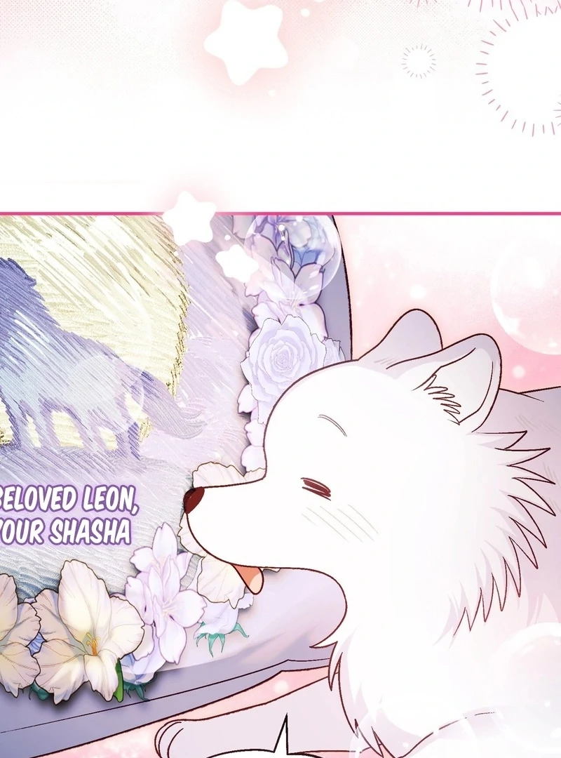 I Opened an Illegal Veterinary Clinic in Another World Chapter 18 - page 157