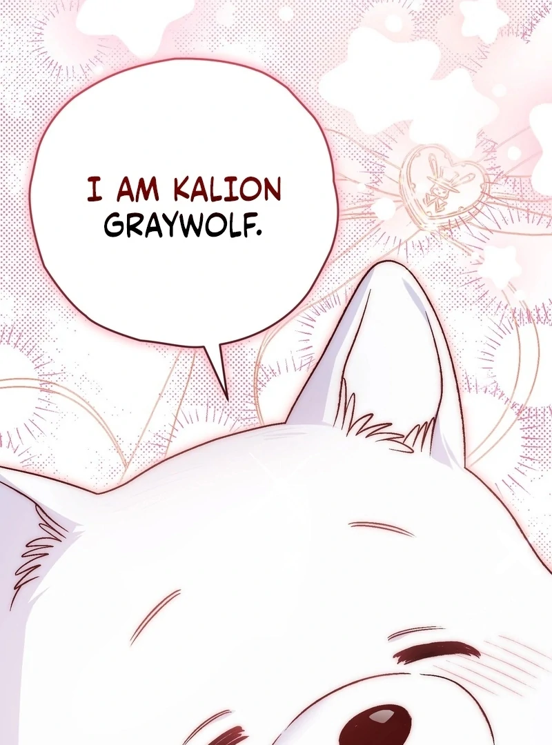 I Opened an Illegal Veterinary Clinic in Another World Chapter 18 - page 165