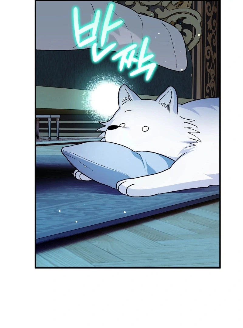 I Opened an Illegal Veterinary Clinic in Another World Chapter 18 - page 168