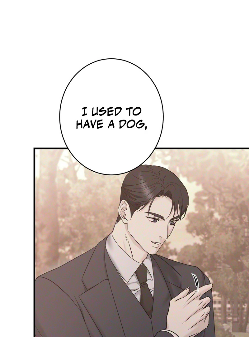 My Boss Who Rejected Me Is Now Obsessed with Me Chapter 8 - page 17