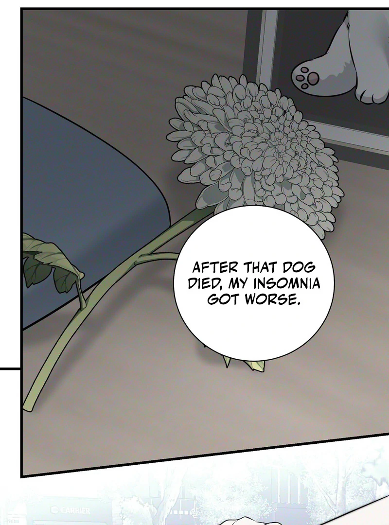 My Boss Who Rejected Me Is Now Obsessed with Me Chapter 8 - page 19