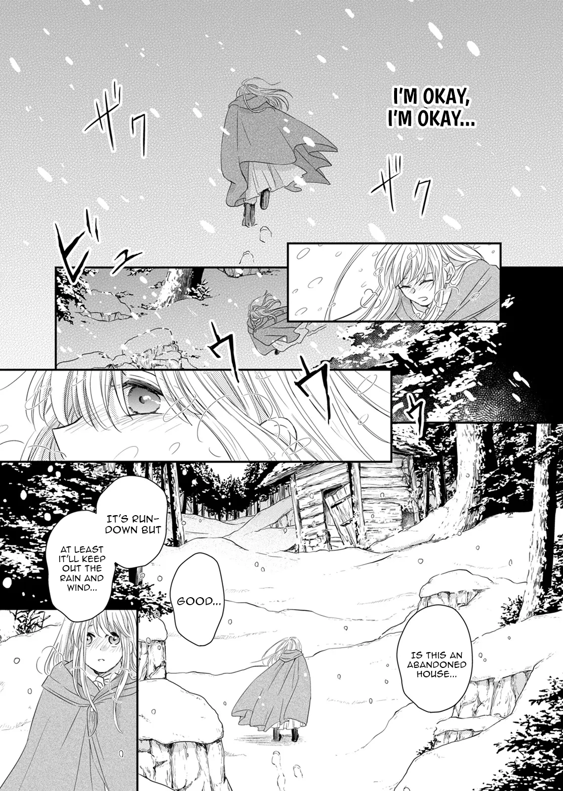 The Banished Princess Is Picked Up by a Great Mage Chapter 1 - page 17