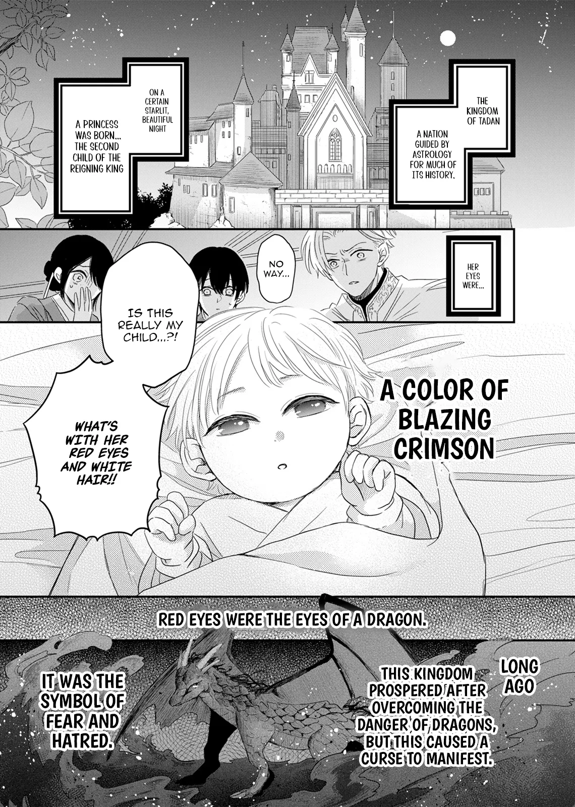 The Banished Princess Is Picked Up by a Great Mage Chapter 1 - page 3