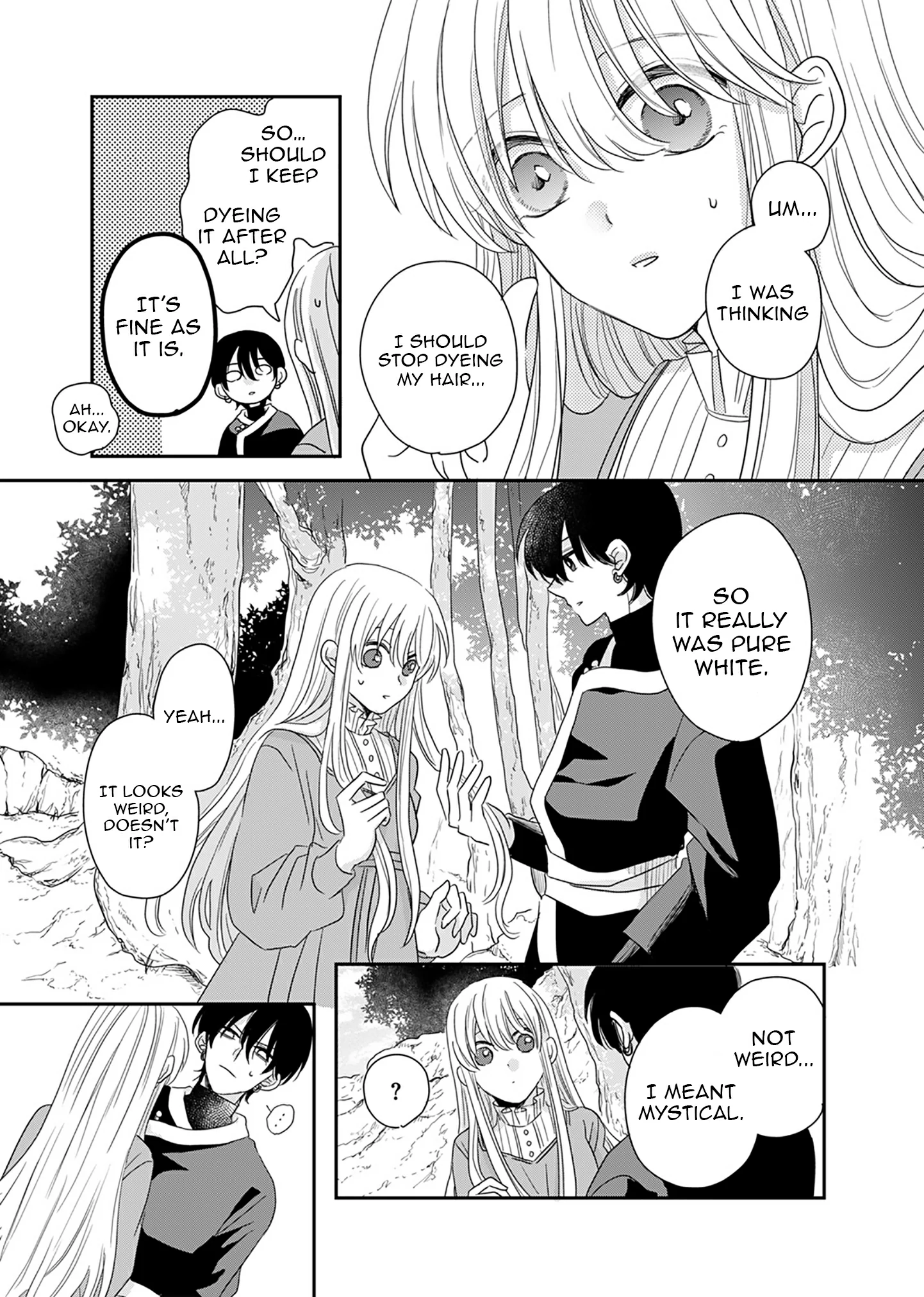 The Banished Princess Is Picked Up by a Great Mage Chapter 4 - page 4
