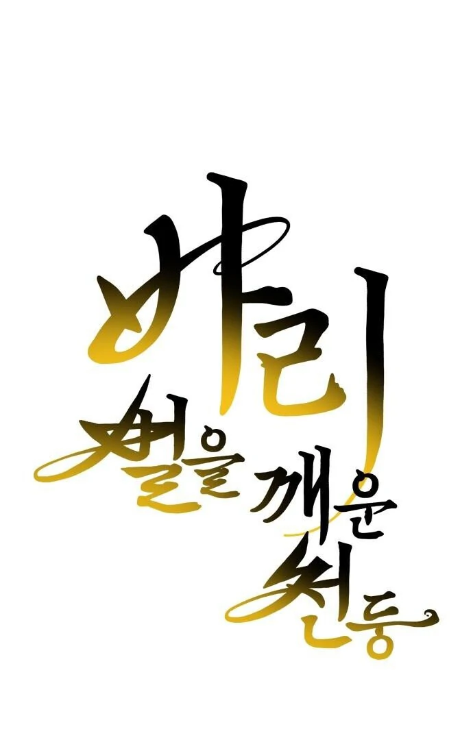 Bari, The Thunder That Awakens the Stars Chapter 1 - page 17