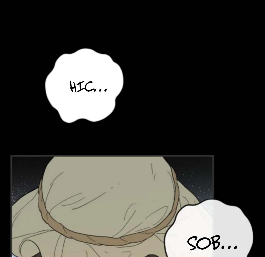 Bari, The Thunder That Awakens the Stars Chapter 5 - page 15