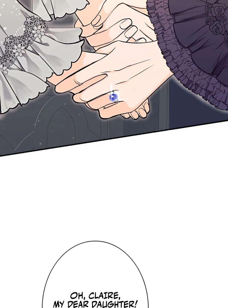 The Reason the Abandoned Fake Princess Returned Chapter 2 - page 10