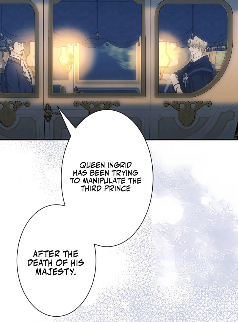The Reason the Abandoned Fake Princess Returned Chapter 13 - page 9